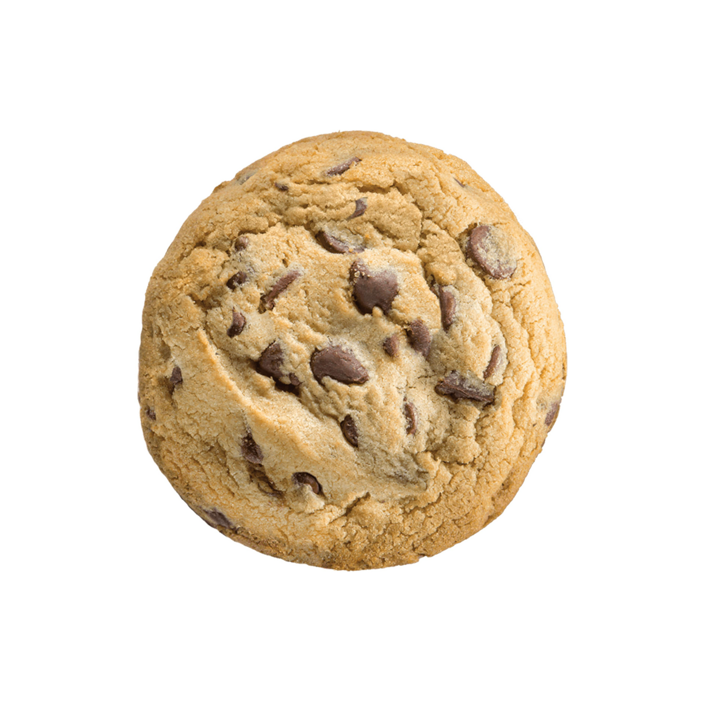 Chocolate Chip Cookie