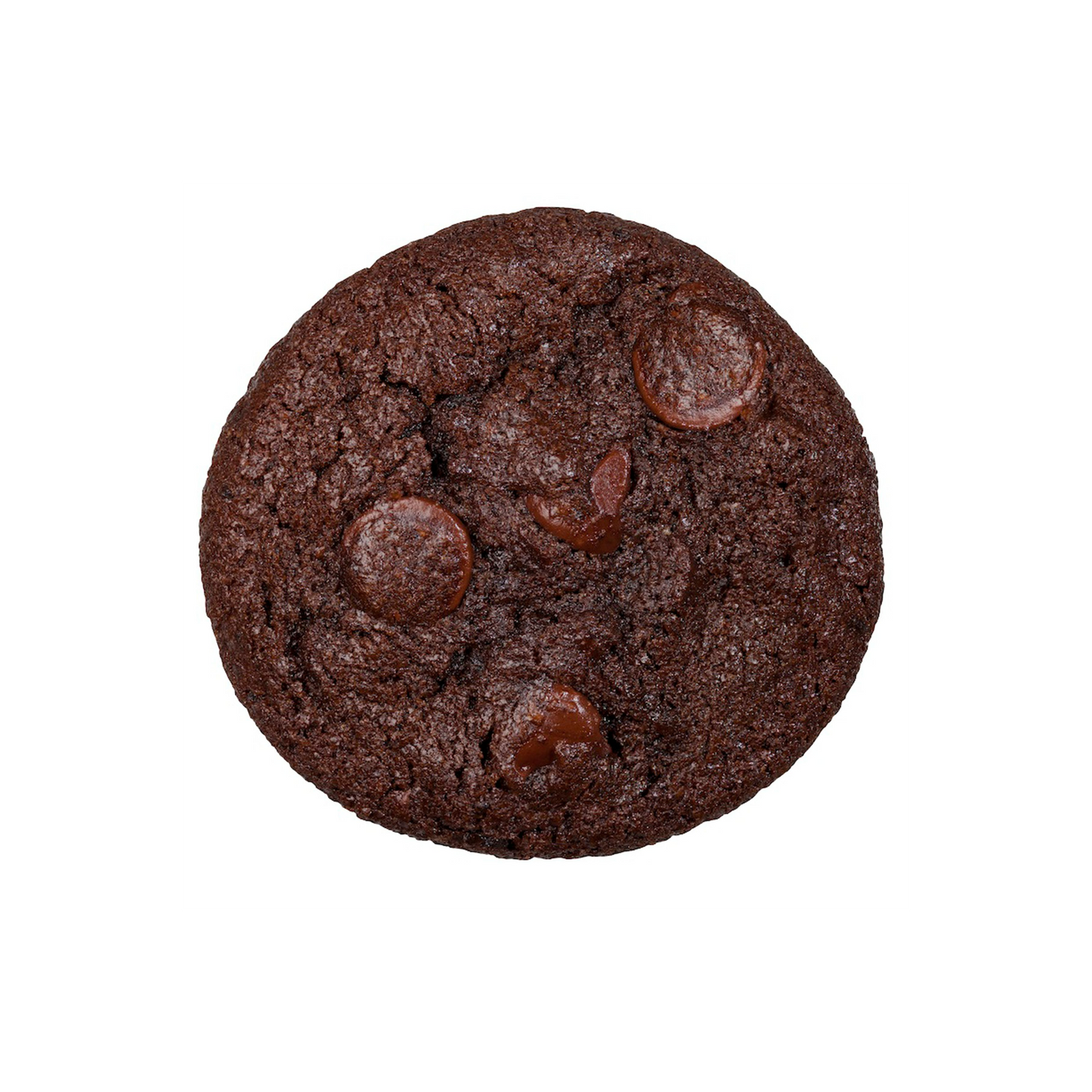 Double Chocolate Cookie